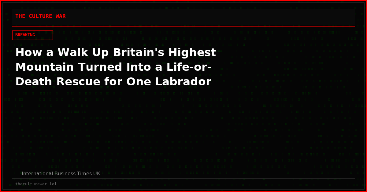 How a Walk Up Britain's Highest Mountain Turned Into a Life-or-Death Rescue for One Labrador