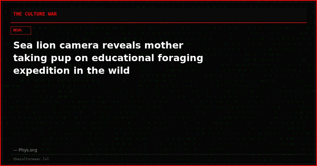 Sea lion camera reveals mother taking pup on educational foraging expedition in the wild