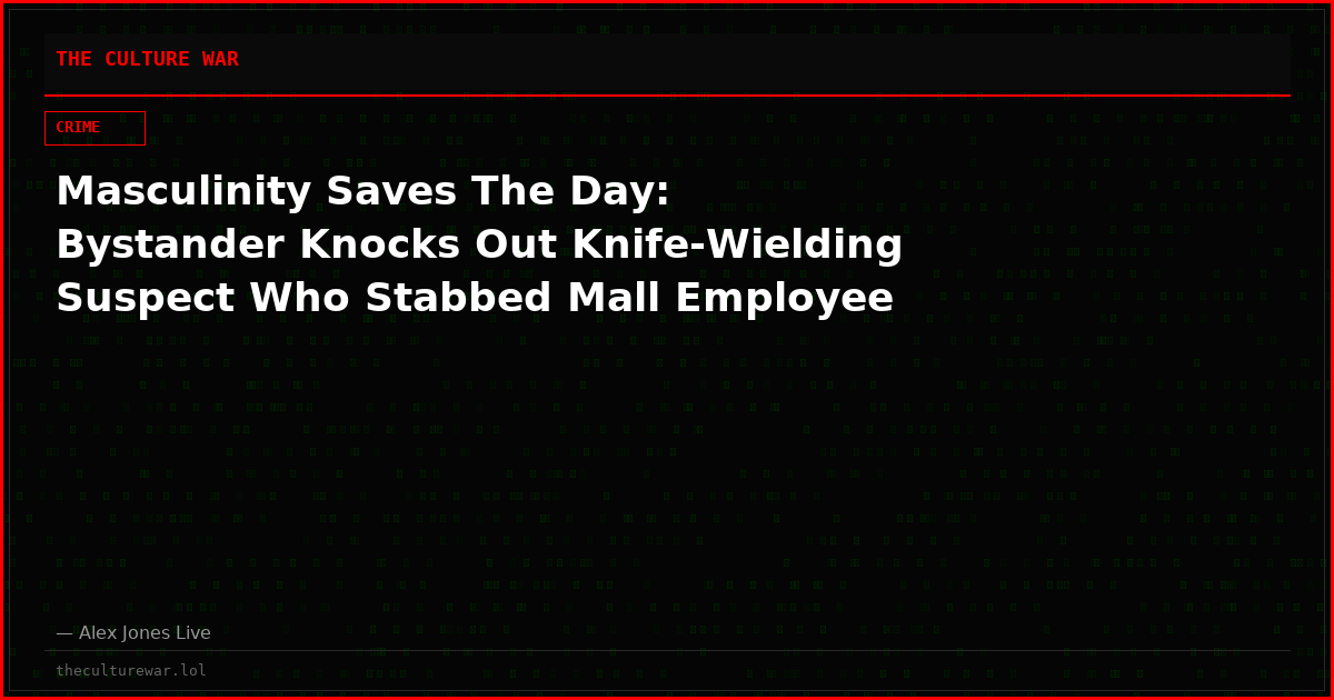 Masculinity Saves The Day: Bystander Knocks Out Knife-Wielding Suspect Who Stabbed Mall Employee