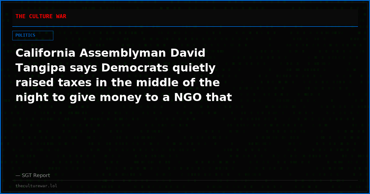 California Assemblyman David Tangipa says Democrats quietly raised taxes in the middle of the night to give money to a NGO that acts as a voting center for Democrats