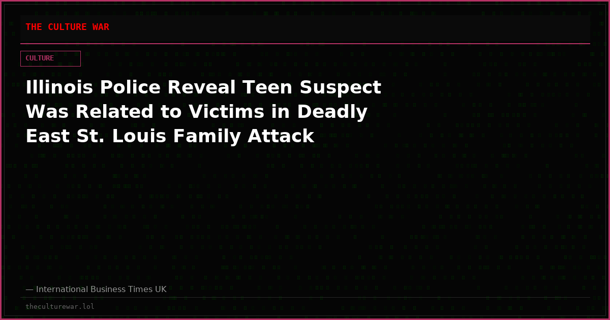 Illinois Police Reveal Teen Suspect Was Related to Victims in Deadly East St. Louis Family Attack