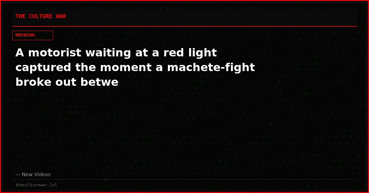 A motorist waiting at a red light captured the moment a machete-fight broke out betwe