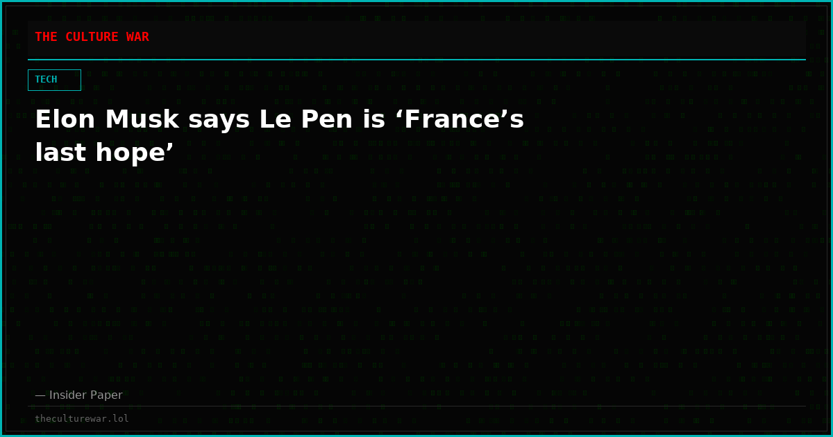 Elon Musk says Le Pen is ‘France’s last hope’