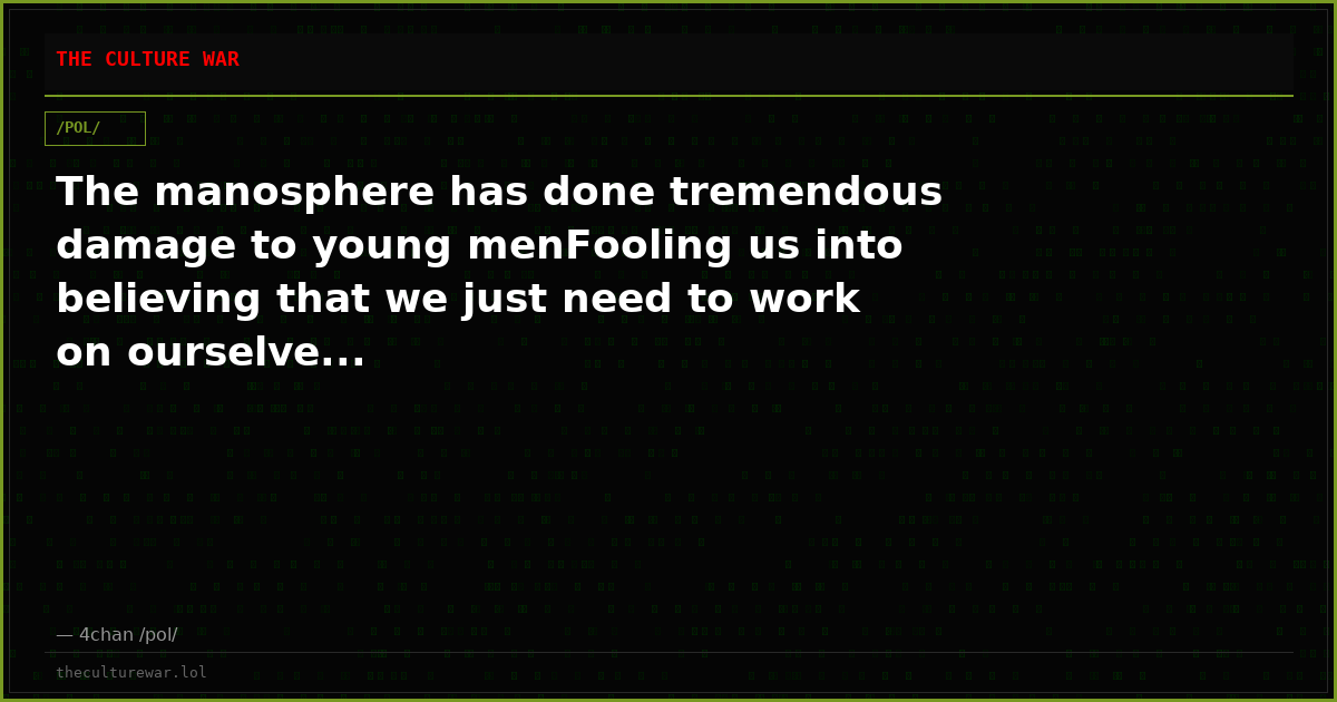 The manosphere has done tremendous damage to young menFooling us into believing that we just need to work on ourselve...