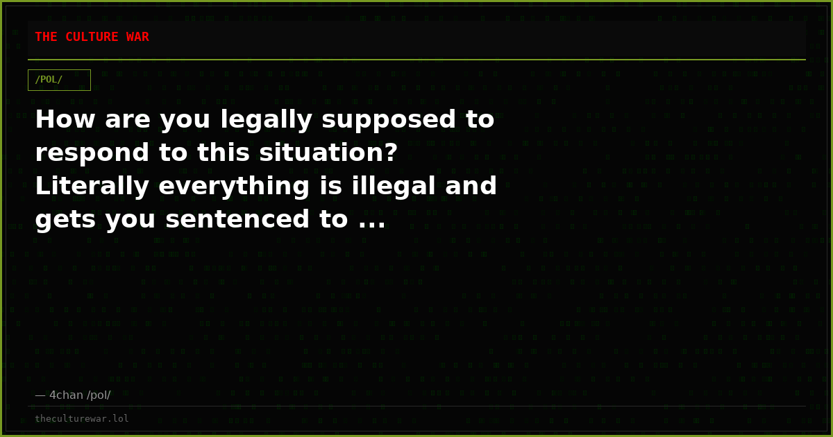 How are you legally supposed to respond to this situation? Literally everything is illegal and gets you sentenced to ...