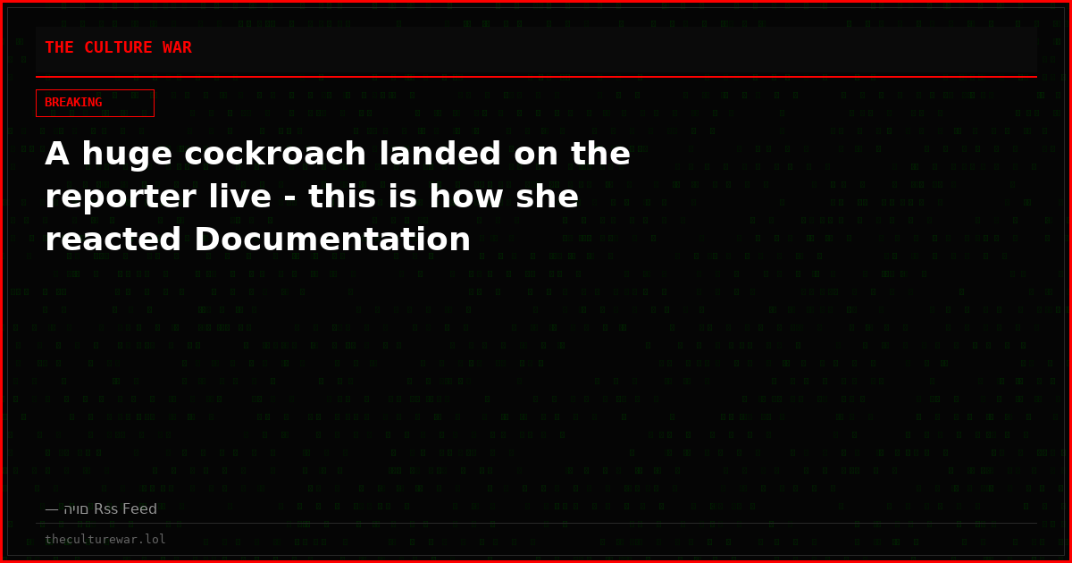 A huge cockroach landed on the reporter live - this is how she reacted Documentation