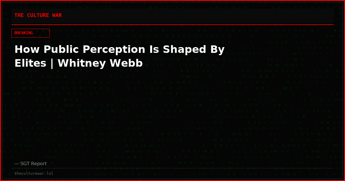 How Public Perception Is Shaped By Elites | Whitney Webb