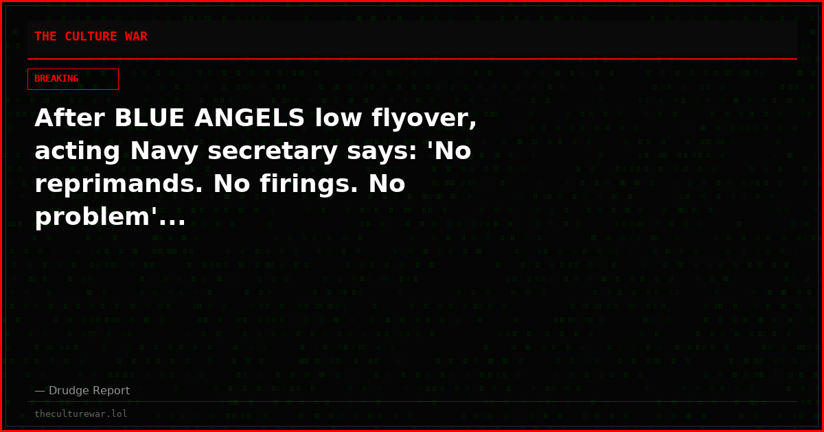 After BLUE ANGELS low flyover, acting Navy secretary says: 'No reprimands. No firings. No problem'...
