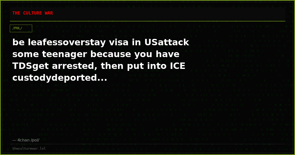 be leafessoverstay visa in USattack some teenager because you have TDSget arrested, then put into ICE custodydeported...