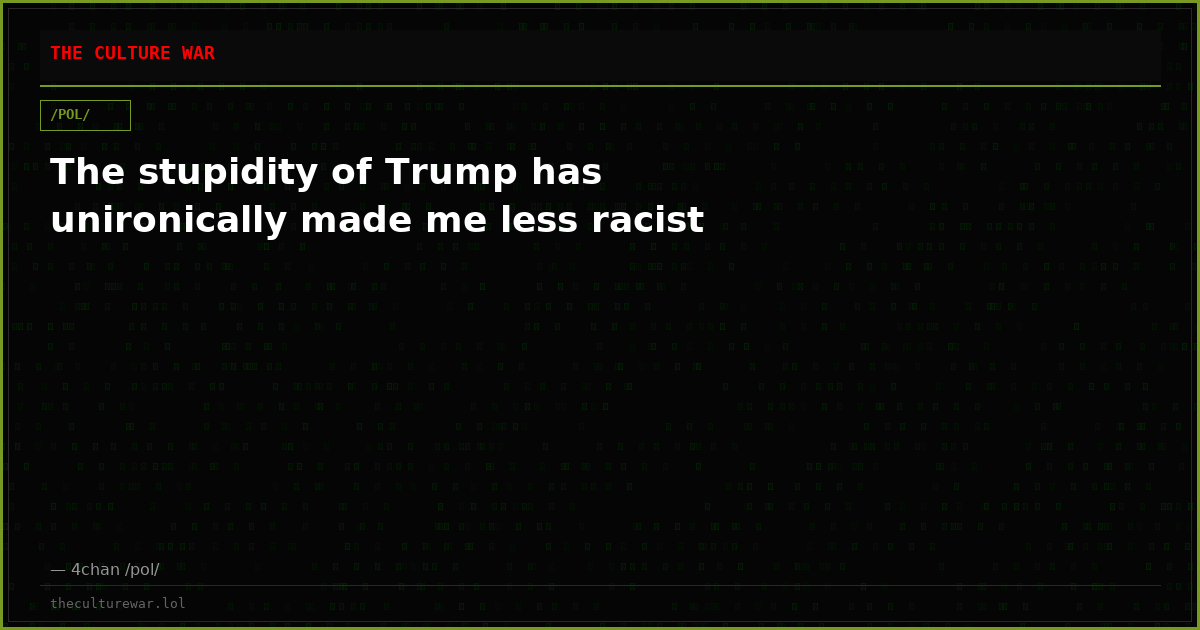 The stupidity of Trump has unironically made me less racist