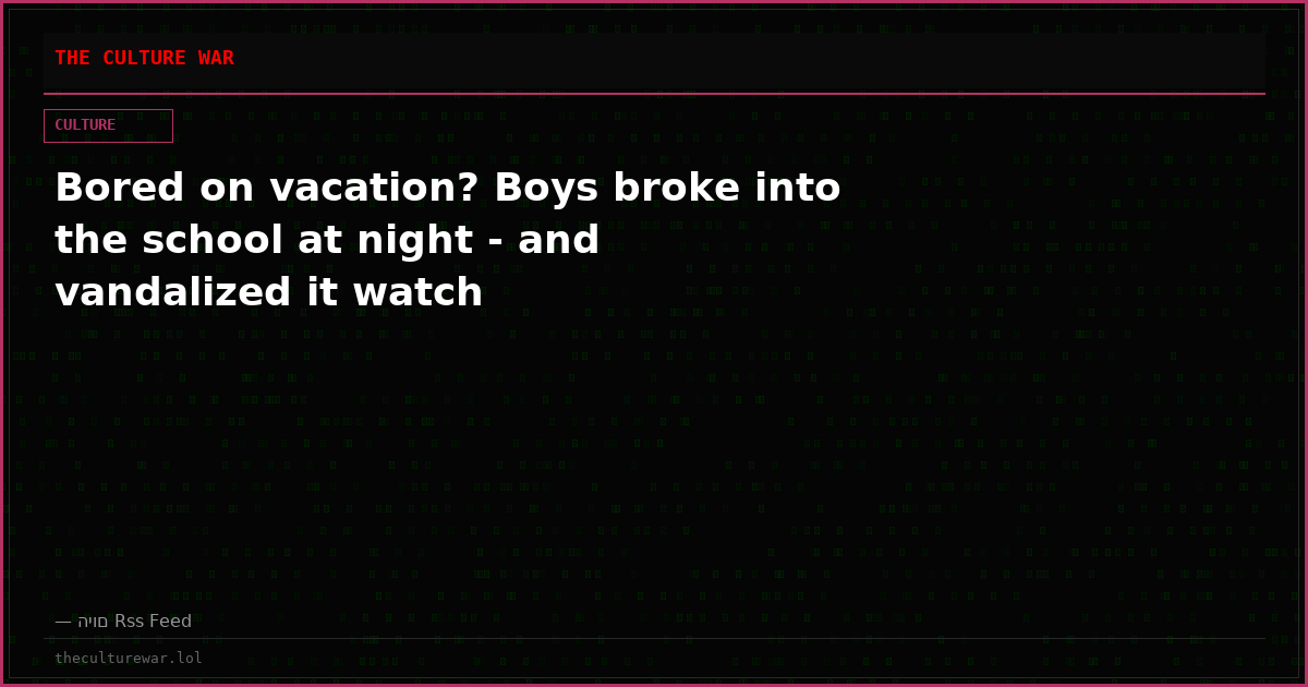 Bored on vacation? Boys broke into the school at night - and vandalized it watch