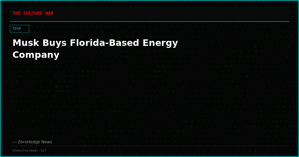 Musk Buys Florida-Based Energy Company