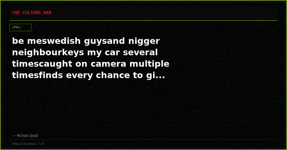be meswedish guysand nigger neighbourkeys my car several timescaught on camera multiple timesfinds every chance to gi...