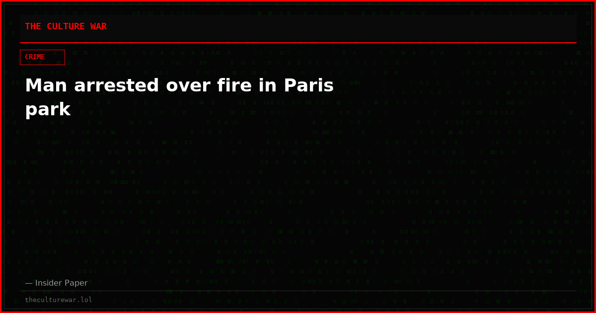 Man arrested over fire in Paris park