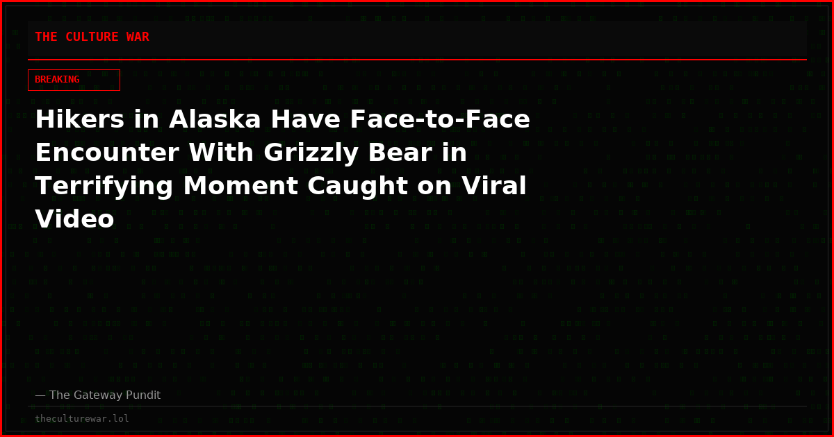 Hikers in Alaska Have Face-to-Face Encounter With Grizzly Bear in Terrifying Moment Caught on Viral Video