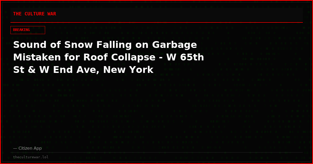 Sound of Snow Falling on Garbage Mistaken for Roof Collapse - W 65th St & W End Ave, New York