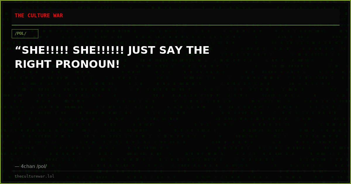 “SHE!!!!! SHE!!!!!! JUST SAY THE RIGHT PRONOUN!