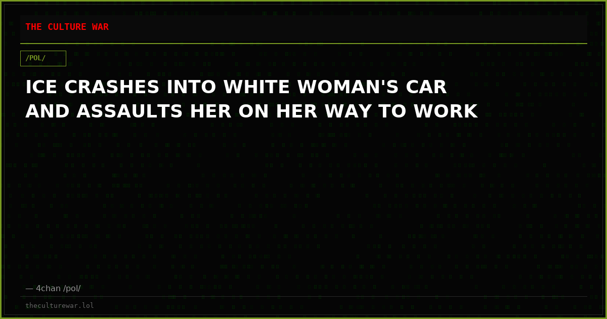 ICE CRASHES INTO WHITE WOMAN'S CAR AND ASSAULTS HER ON HER WAY TO WORK