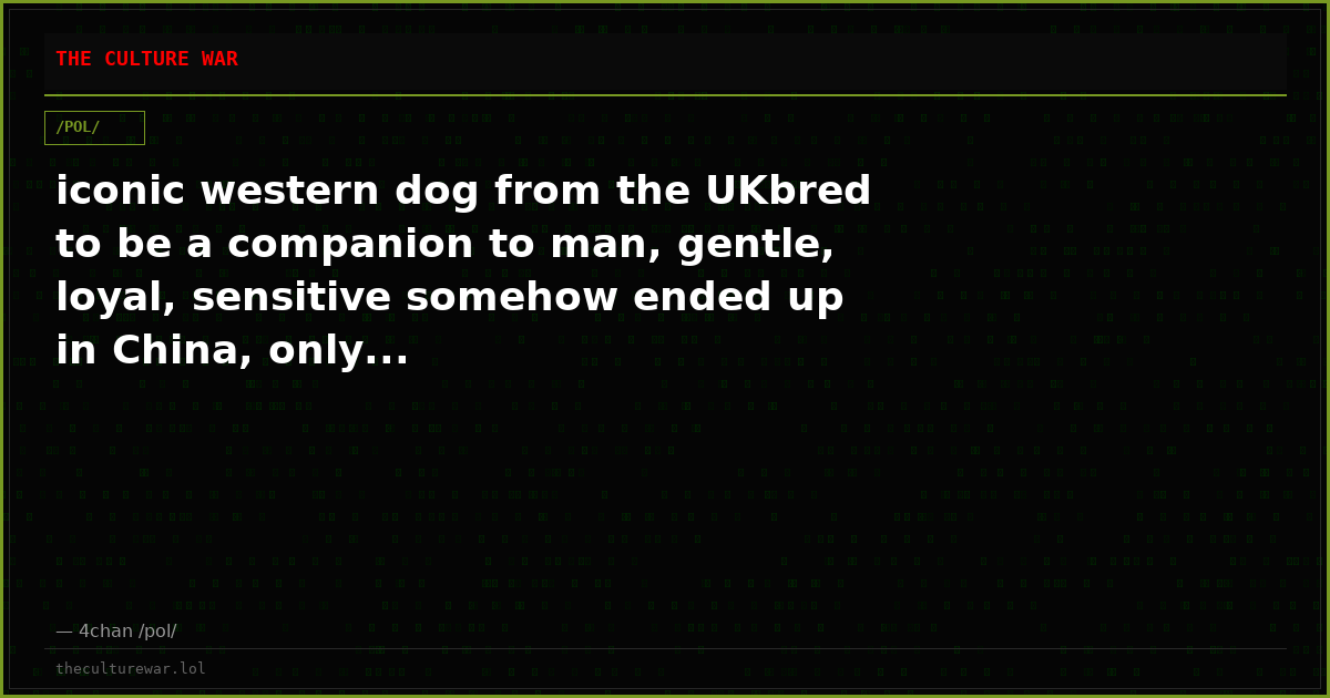 iconic western dog from the UKbred to be a companion to man, gentle, loyal, sensitive somehow ended up in China, only...