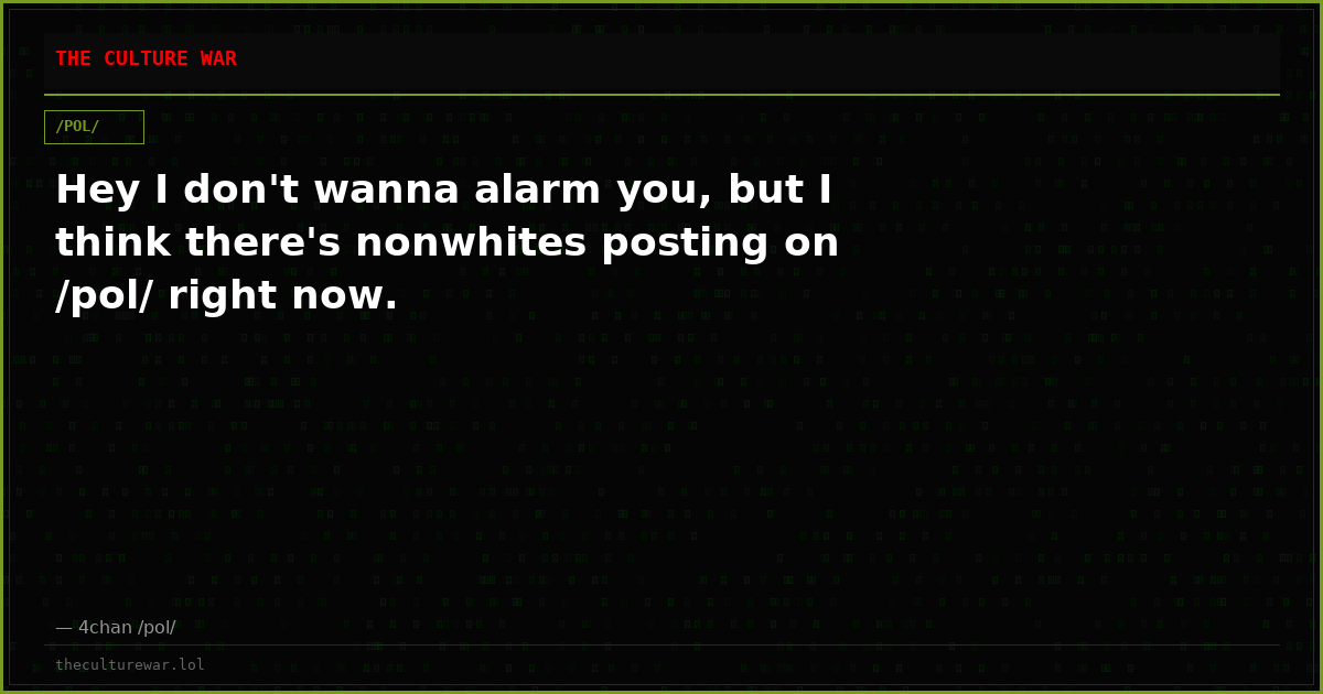 Hey I don't wanna alarm you, but I think there's nonwhites posting on /pol/ right now.