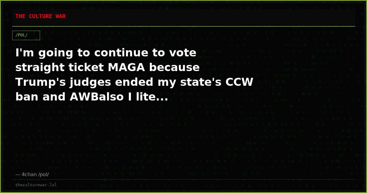 I'm going to continue to vote straight ticket MAGA because Trump's judges ended my state's CCW ban and AWBalso I lite...