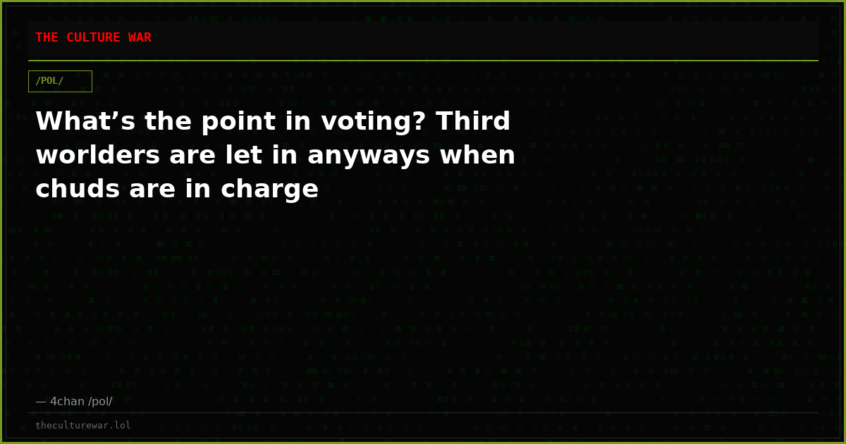 What’s the point in voting? Third worlders are let in anyways when chuds are in charge