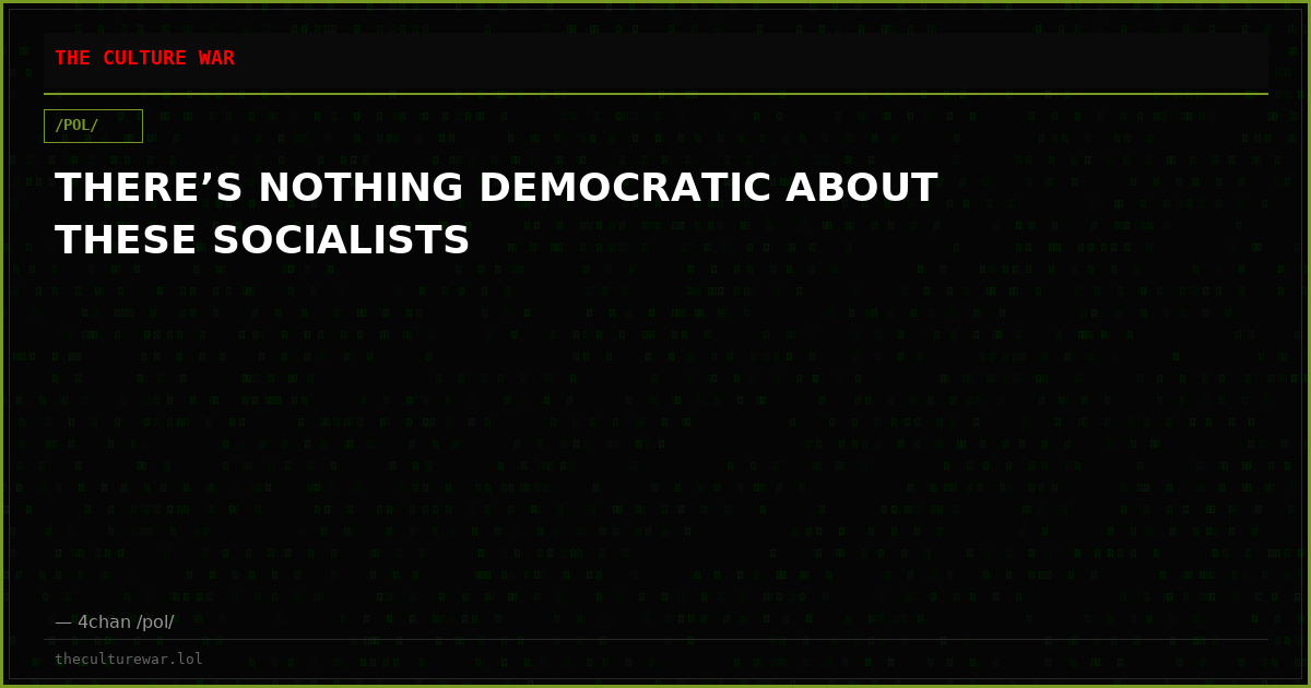 THERE’S NOTHING DEMOCRATIC ABOUT THESE SOCIALISTS