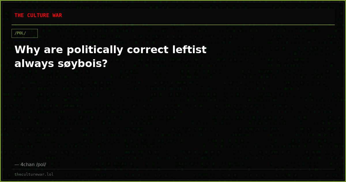Why are politically correct leftist always søybois?
