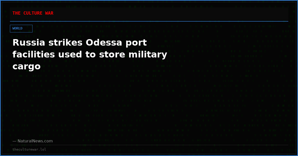 Russia strikes Odessa port facilities used to store military cargo