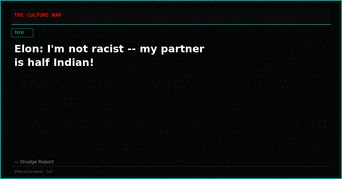 Elon: I'm not racist -- my partner is half Indian!