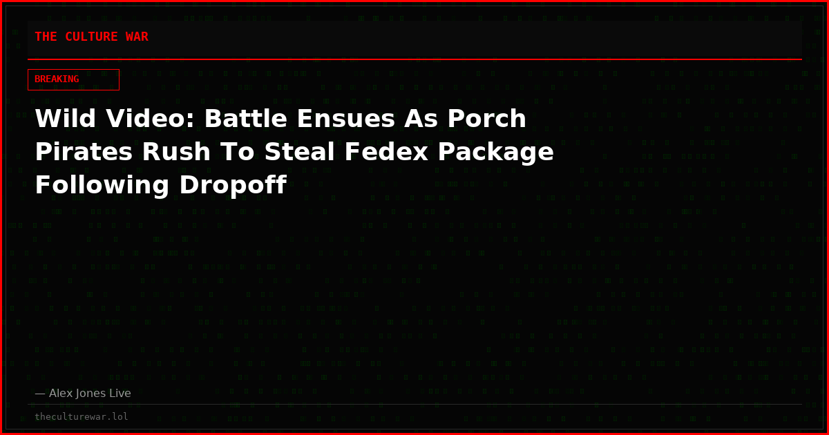 Wild Video: Battle Ensues As Porch Pirates Rush To Steal Fedex Package Following Dropoff