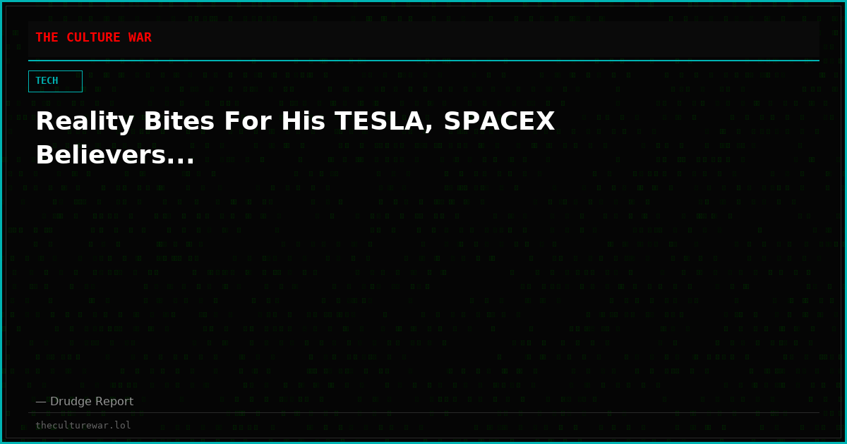 Reality Bites For His TESLA, SPACEX Believers...