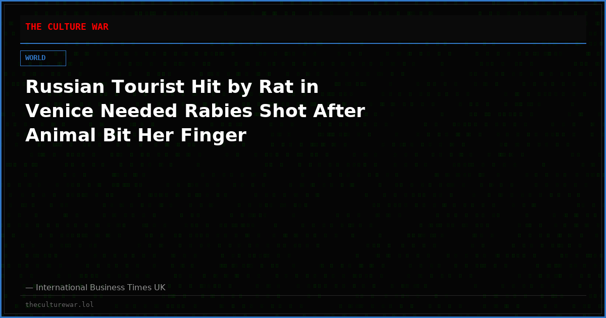 Russian Tourist Hit by Rat in Venice Needed Rabies Shot After Animal Bit Her Finger