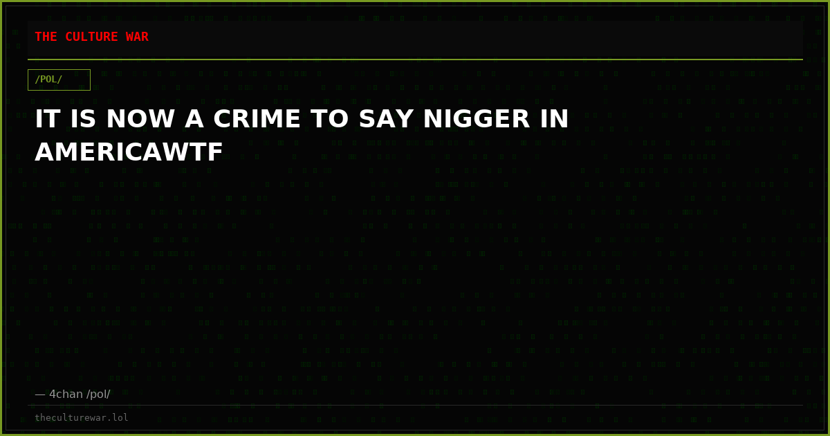 IT IS NOW A CRIME TO SAY NIGGER IN AMERICAWTF