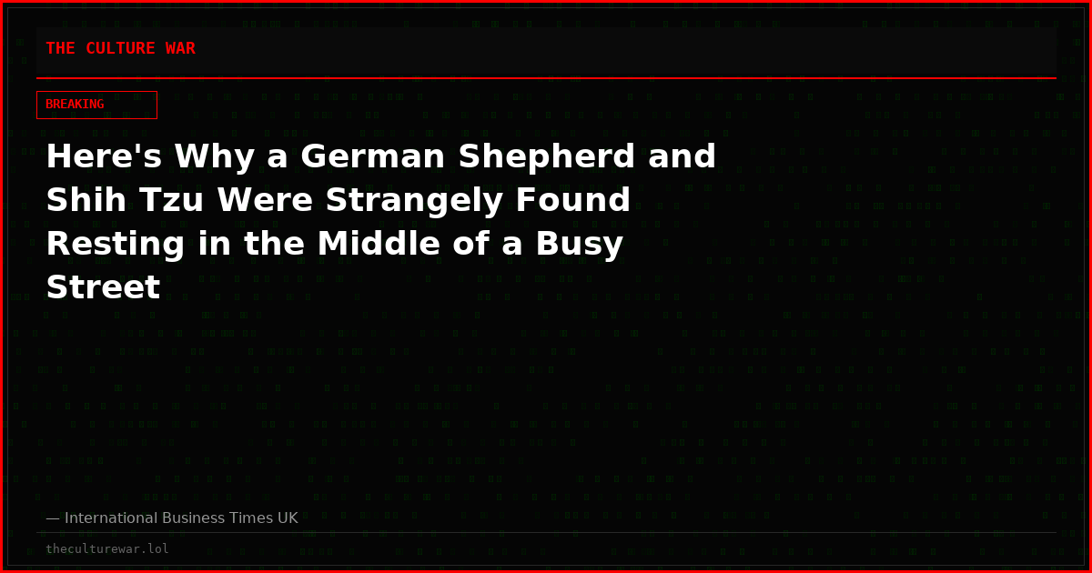 Here's Why a German Shepherd and Shih Tzu Were Strangely Found Resting in the Middle of a Busy Street