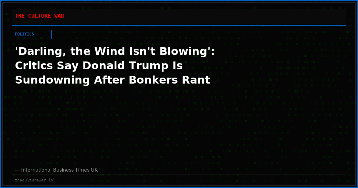 'Darling, the Wind Isn't Blowing': Critics Say Donald Trump Is Sundowning After Bonkers Rant