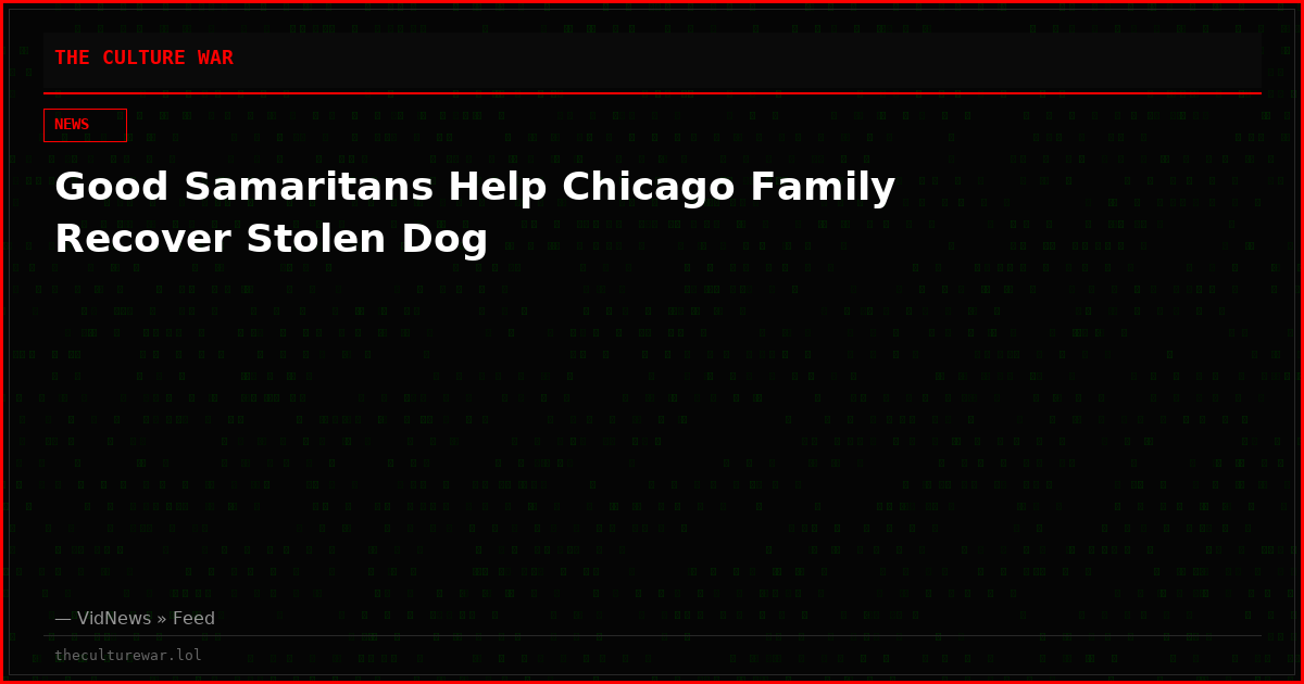 Good Samaritans Help Chicago Family Recover Stolen Dog