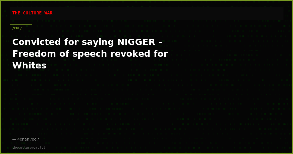 Convicted for saying NIGGER - Freedom of speech revoked for Whites