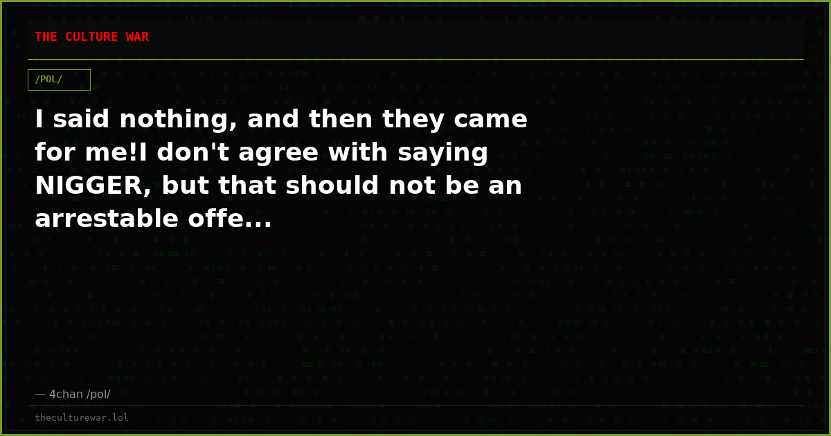I said nothing, and then they came for me!I don't agree with saying NIGGER, but that should not be an arrestable offe...