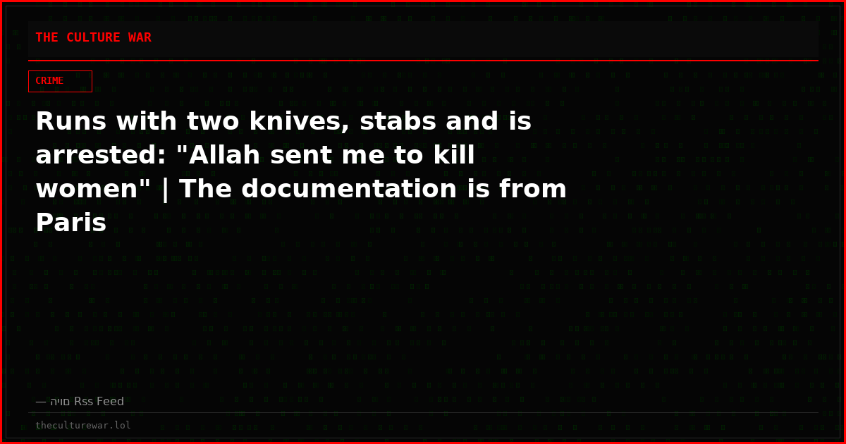 Runs with two knives, stabs and is arrested: "Allah sent me to kill women" | The documentation is from Paris
