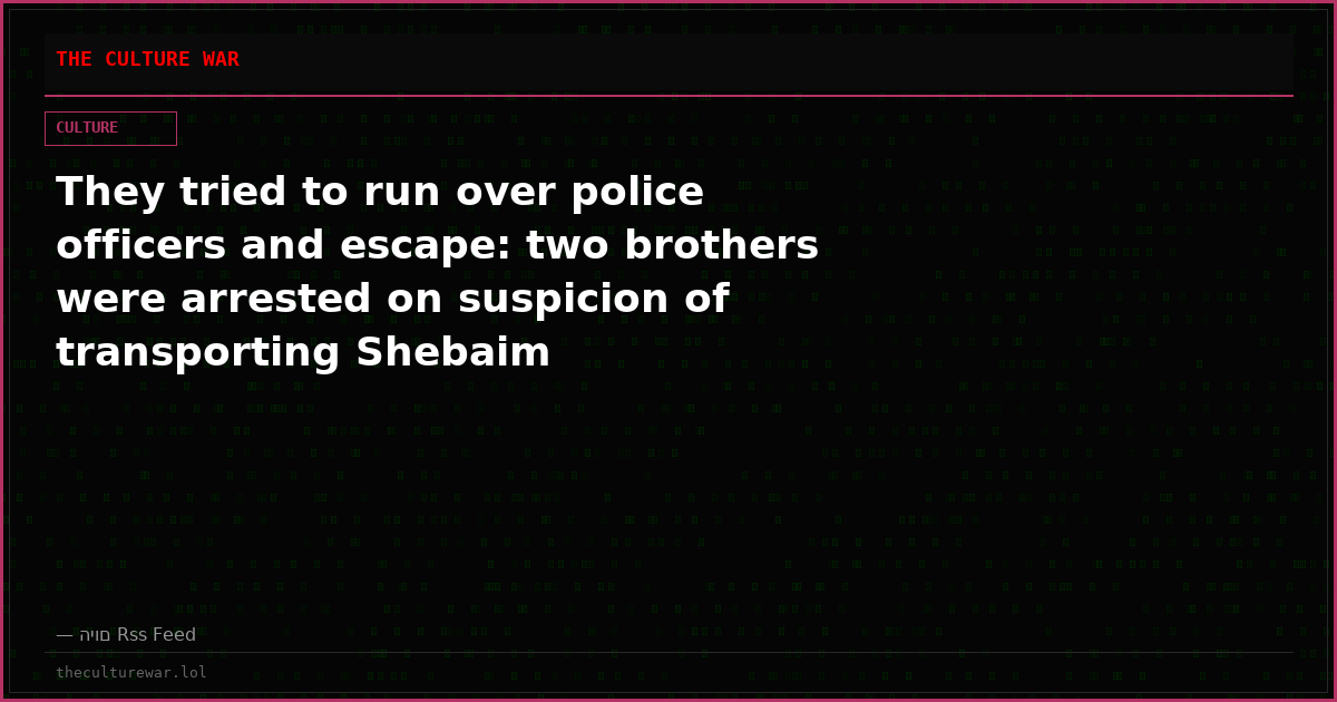 They tried to run over police officers and escape: two brothers were arrested on suspicion of transporting Shebaim
