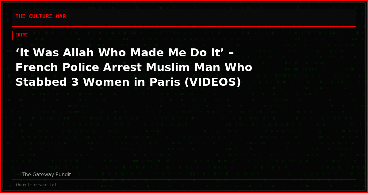 ‘It Was Allah Who Made Me Do It’ – French Police Arrest Muslim Man Who Stabbed 3 Women in Paris (VIDEOS)