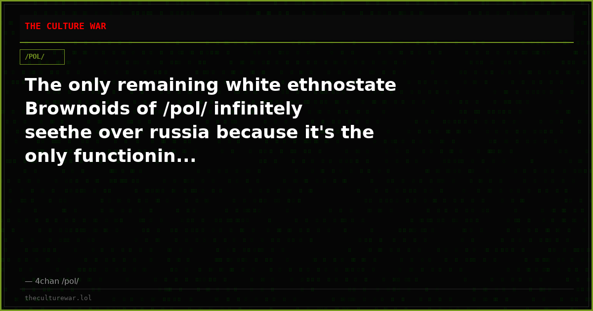 The only remaining white ethnostate Brownoids of /pol/ infinitely seethe over russia because it's the only functionin...