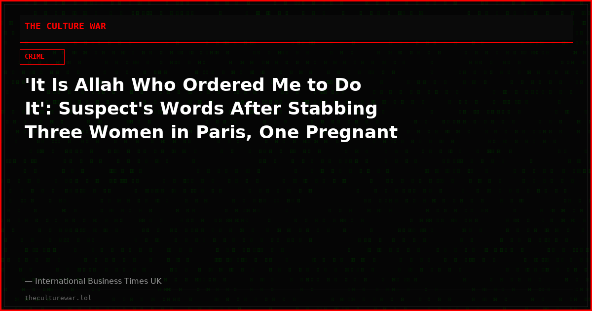 'It Is Allah Who Ordered Me to Do It': Suspect's Words After Stabbing Three Women in Paris, One Pregnant
