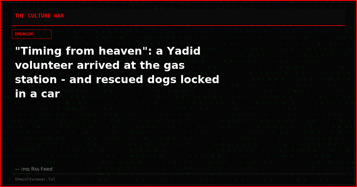 "Timing from heaven": a Yadid volunteer arrived at the gas station - and rescued dogs locked in a car