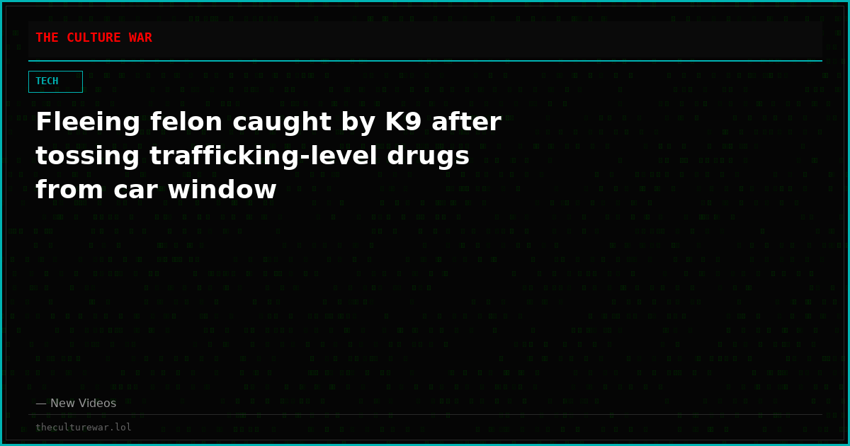 Fleeing felon caught by K9 after tossing trafficking-level drugs from car window