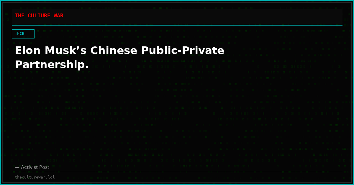 Elon Musk’s Chinese Public-Private Partnership.