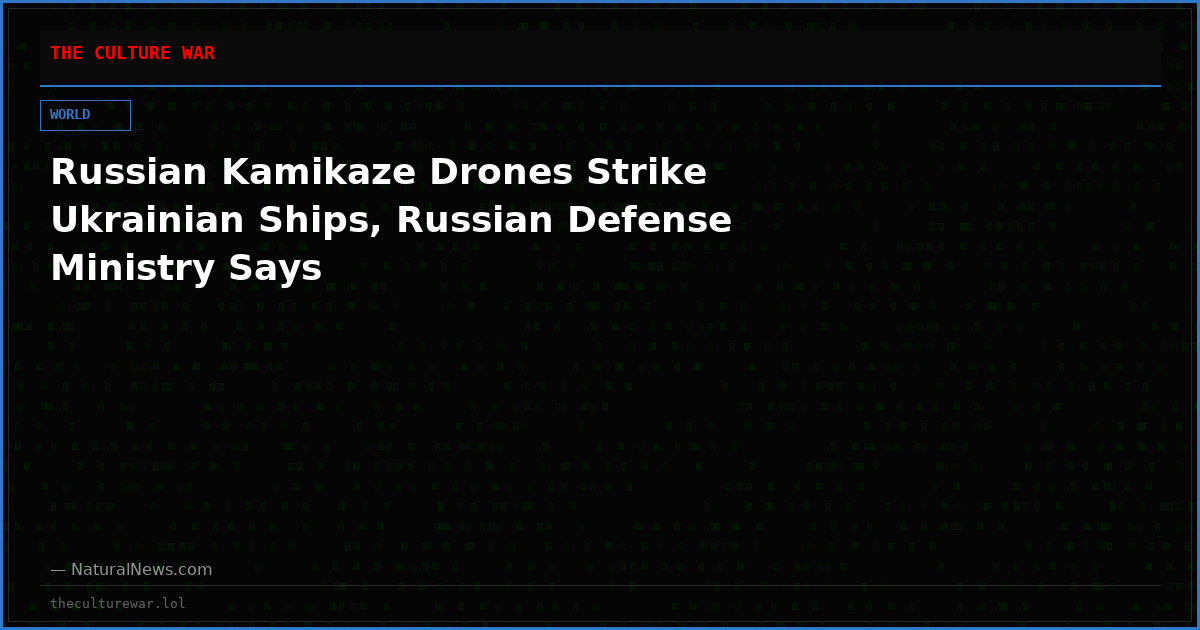 Russian Kamikaze Drones Strike Ukrainian Ships, Russian Defense Ministry Says