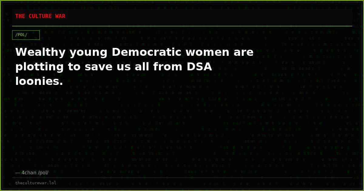 Wealthy young Democratic women are plotting to save us all from DSA loonies.