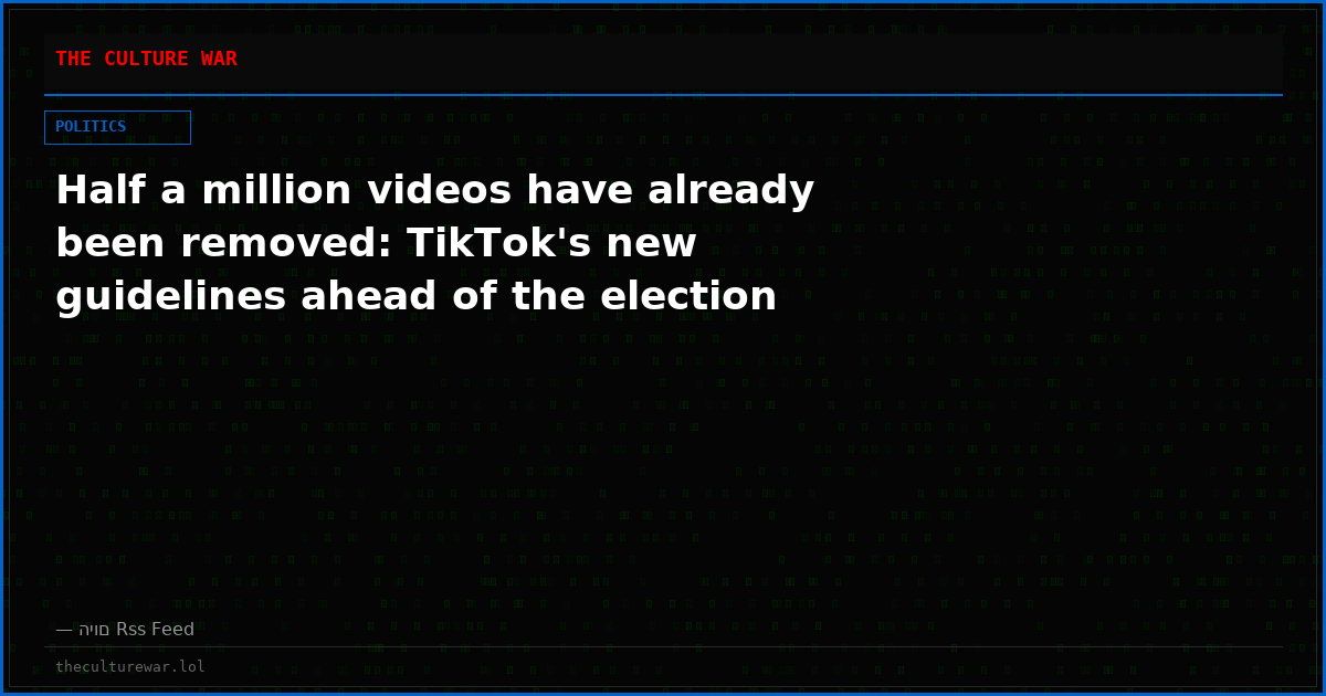 Half a million videos have already been removed: TikTok's new guidelines ahead of the election